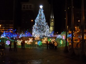 Spruce Christmas Tree