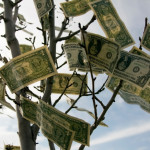 Money Tree